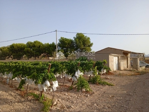 Els Montesinos Vinalopó Mitjà tomt foto 6227238