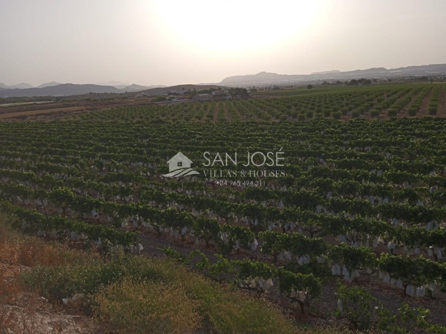 till salu tomt Els Montesinos Vinalopó Mitjà 3