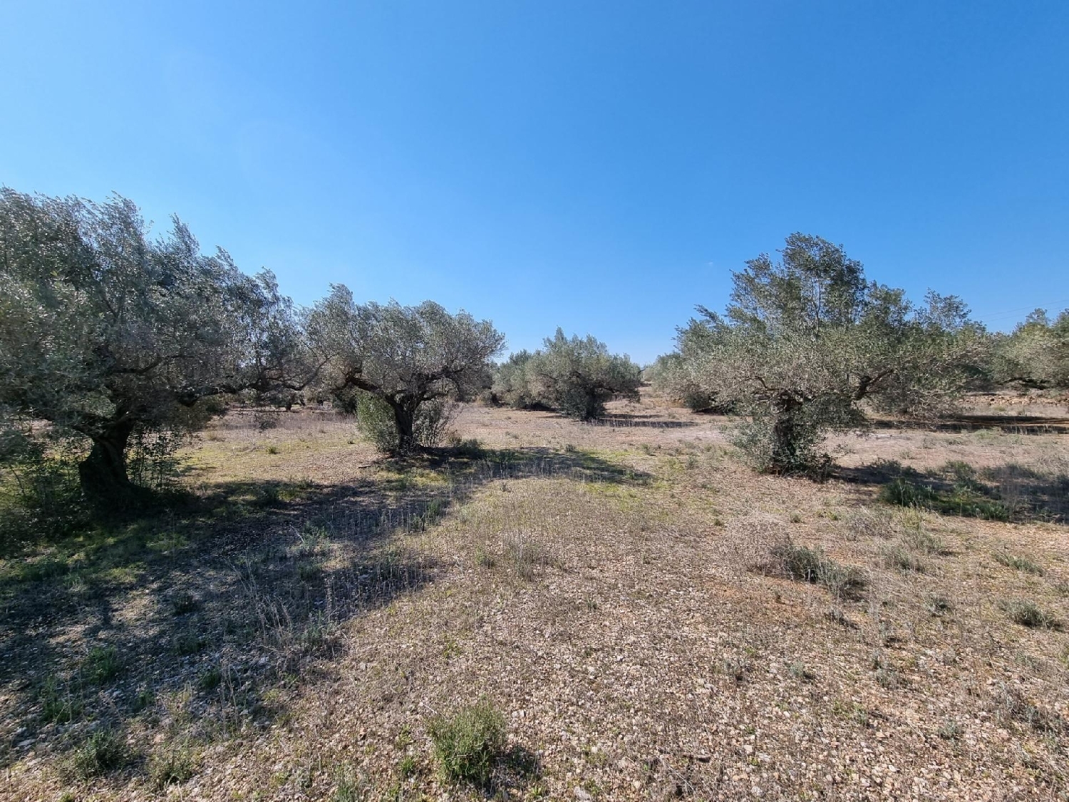  till salu tomt Els Racons Baix Ebre 4