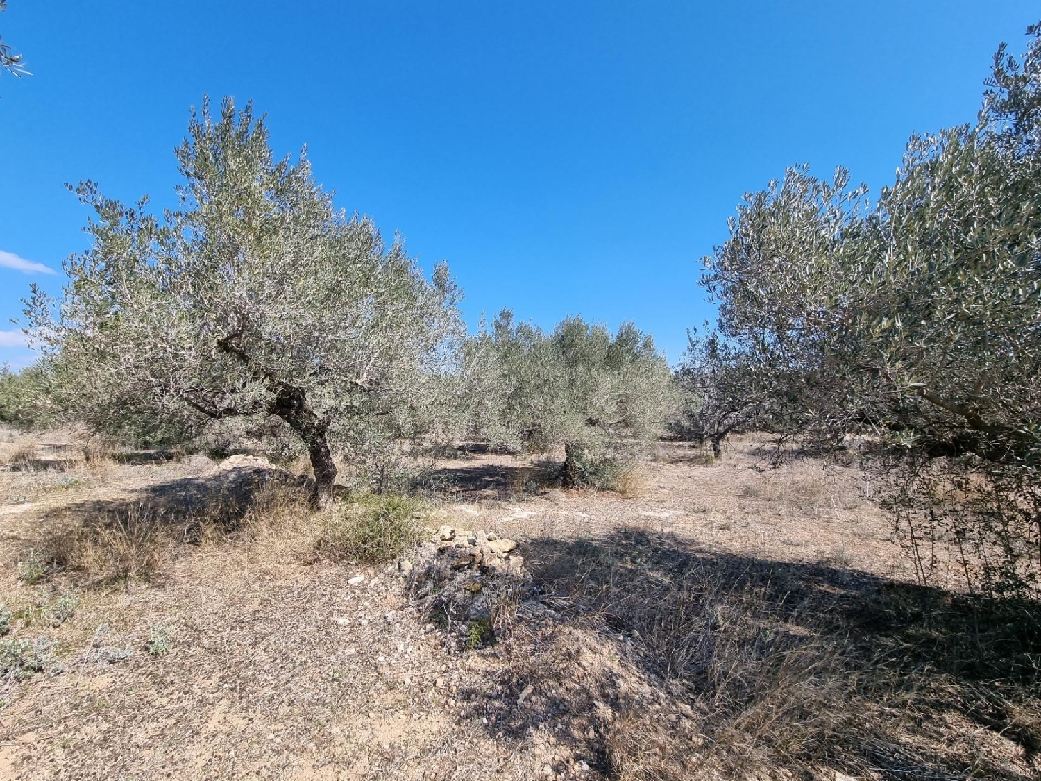 till salu tomt Els Racons Baix Ebre 3