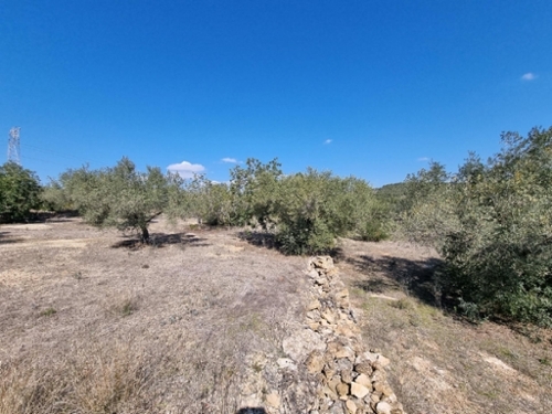 Els Racons Baix Ebre tomt foto 6257149