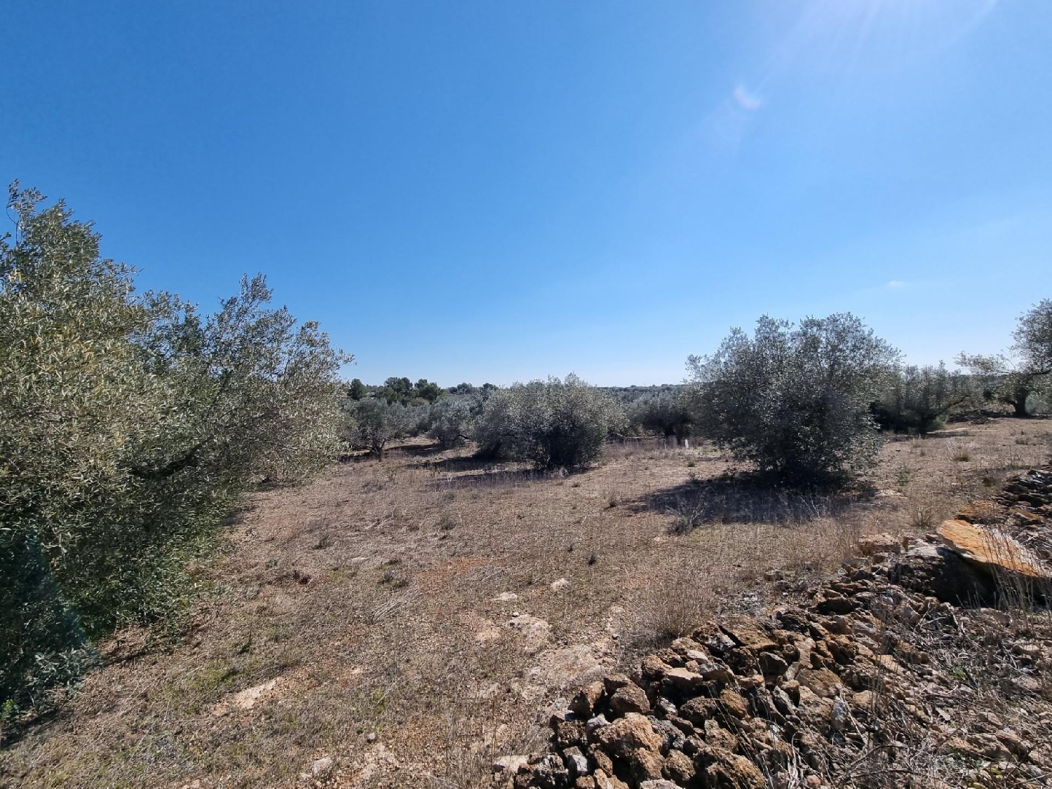  till salu tomt Els Racons Baix Ebre 8