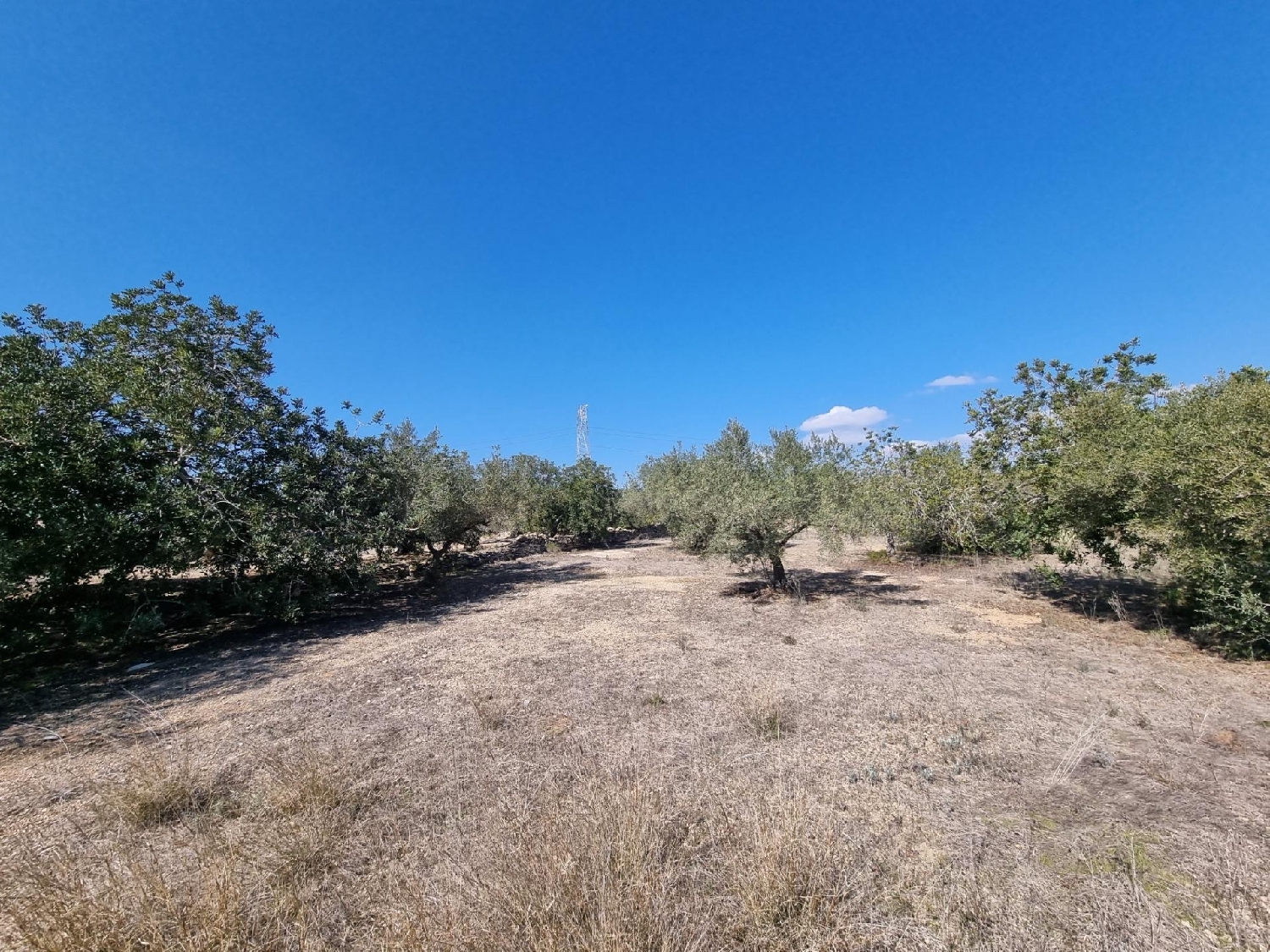 till salu tomt Els Racons Baix Ebre 2