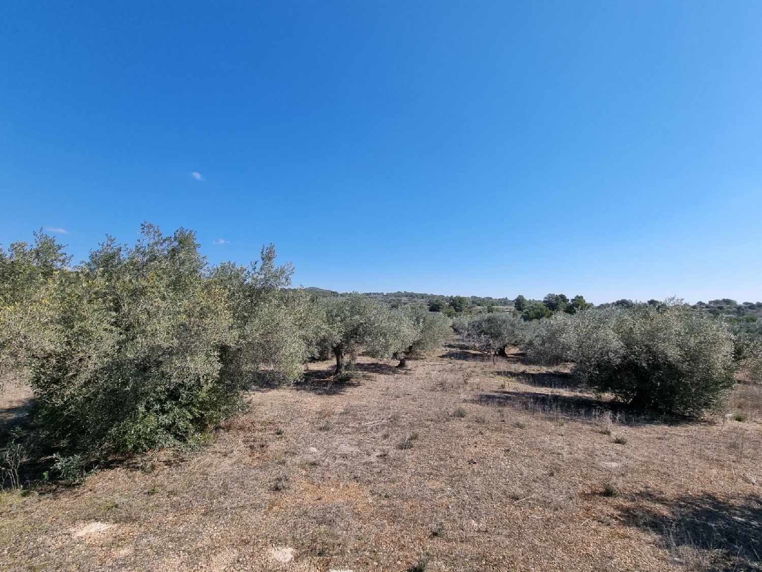  till salu tomt Els Racons Baix Ebre 7
