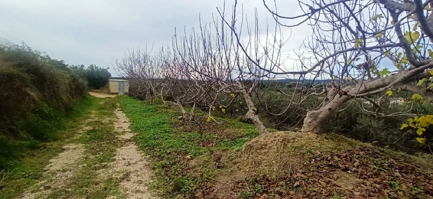  till salu tomt Enguera Canal De Navarrés 1