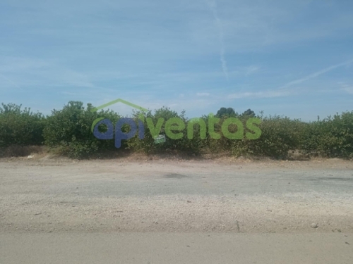 Ermita De Santa Gertrudis Alto Guadalentín tomt foto 6234513