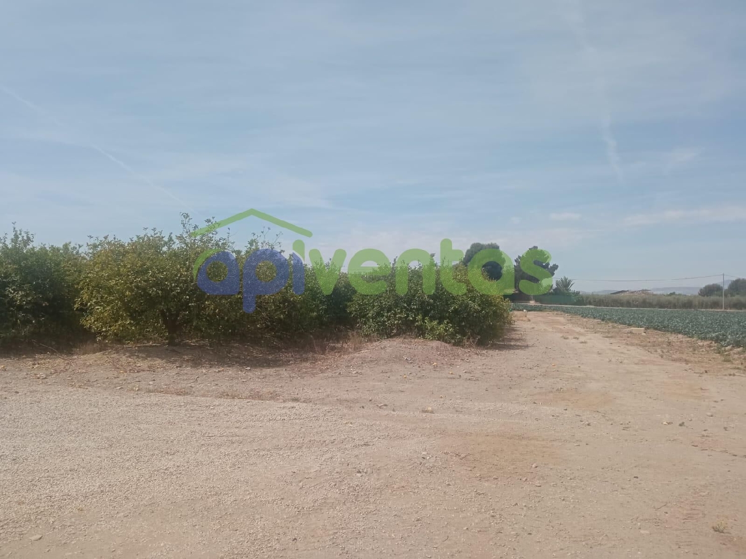 till salu tomt Ermita De Santa Gertrudis Alto Guadalentín 3