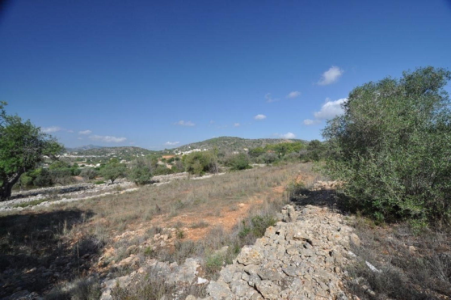  till salu tomt Pinoso Vinalopó Mitjà 6