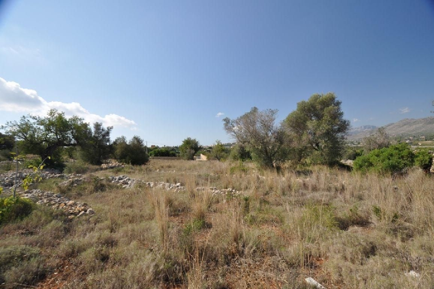 till salu tomt Pinoso Vinalopó Mitjà 3