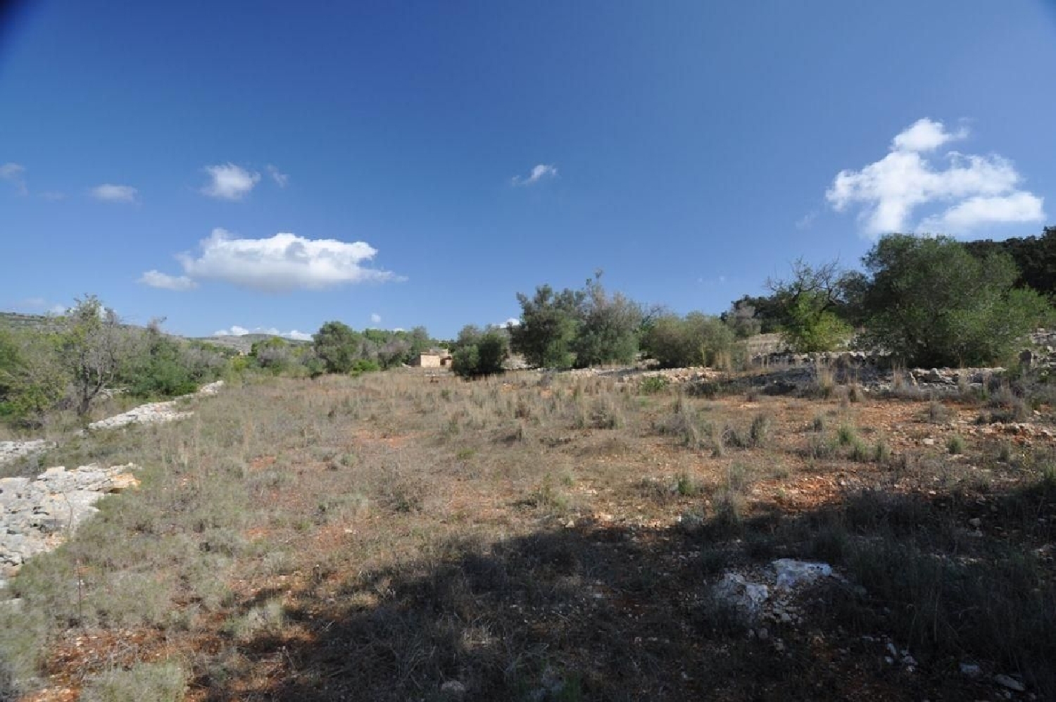  till salu tomt Pinoso Vinalopó Mitjà 7