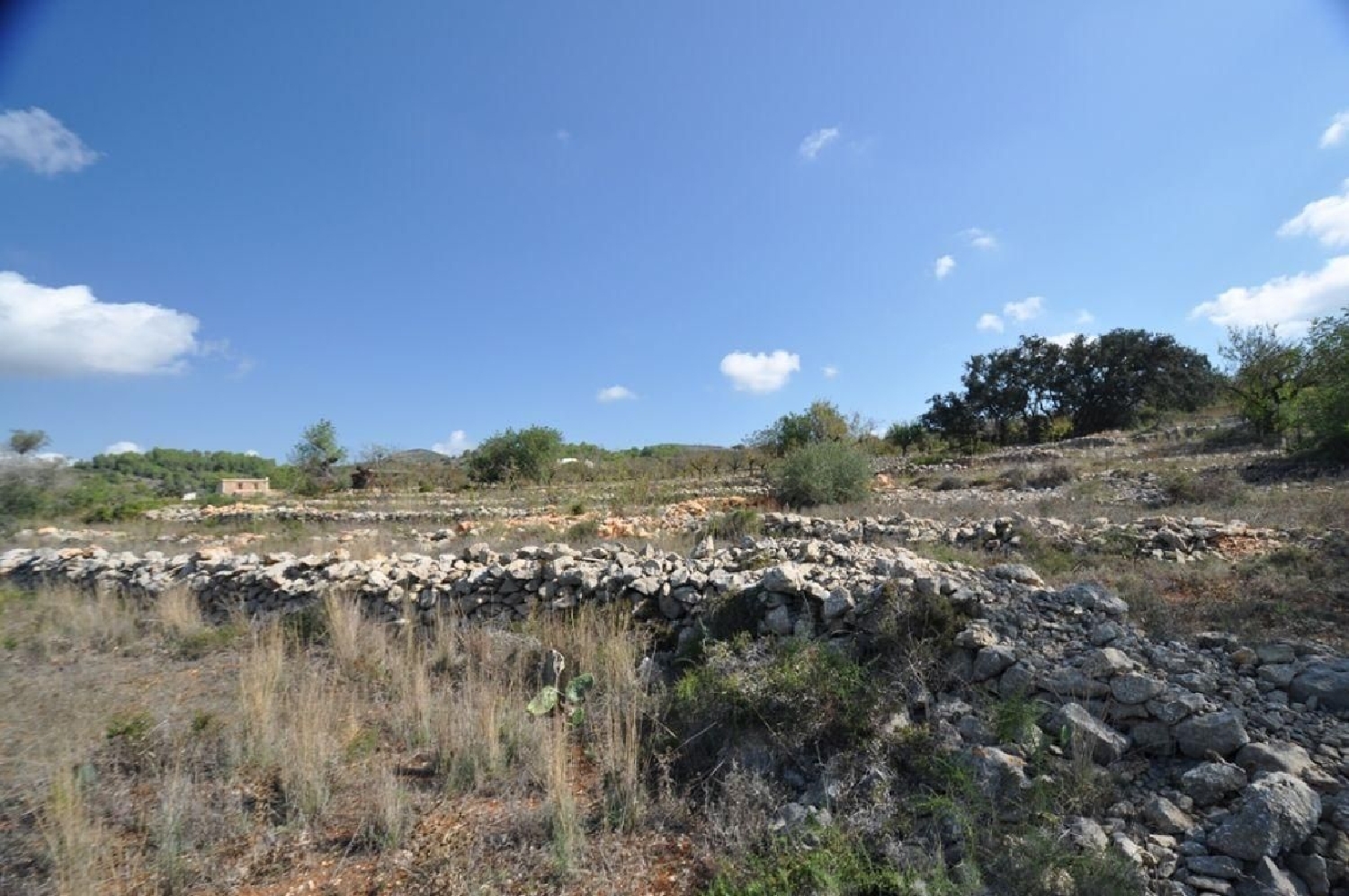 till salu tomt Pinoso Vinalopó Mitjà 2