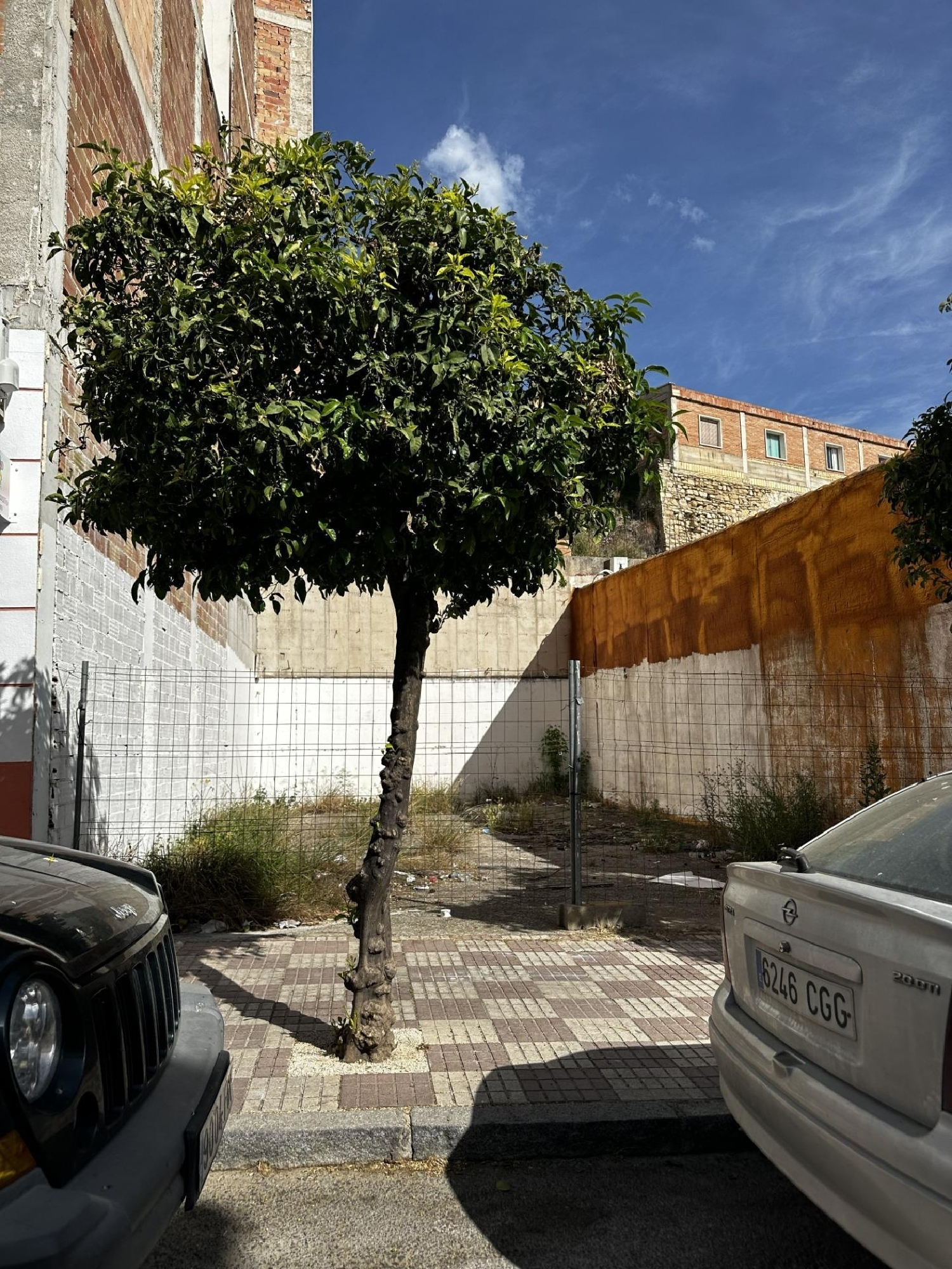 till salu tomt Espejo Campiña De Baena 2