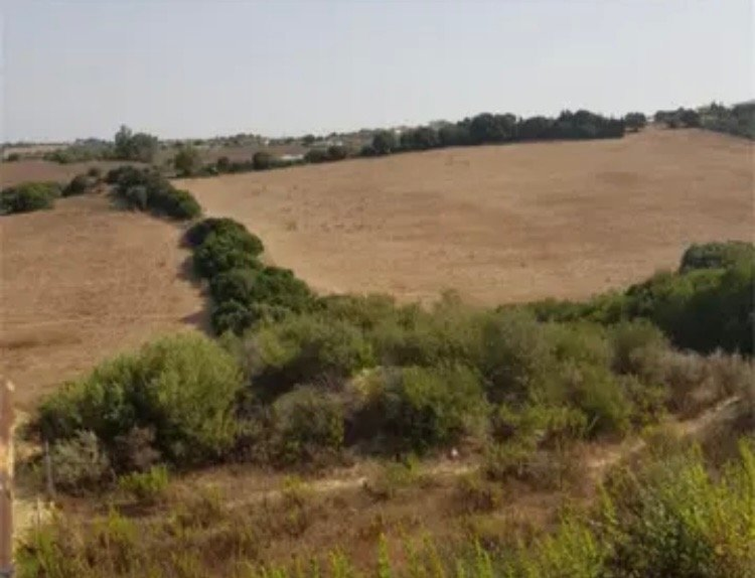 till salu tomt Estella Del Marques Campiña De Jerez 3