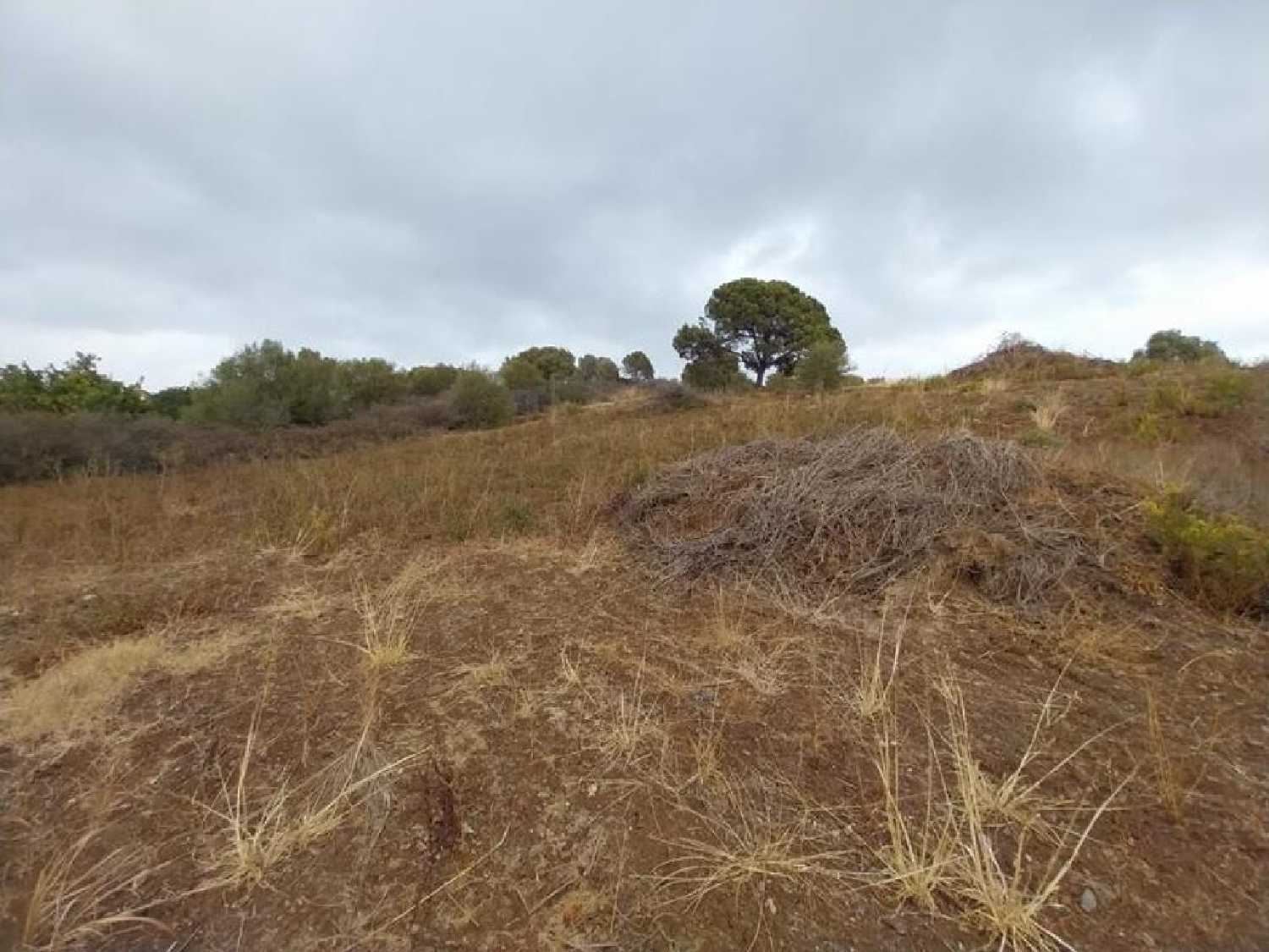  till salu tomt Guadalmansa Costa Del Sol Occidental 19