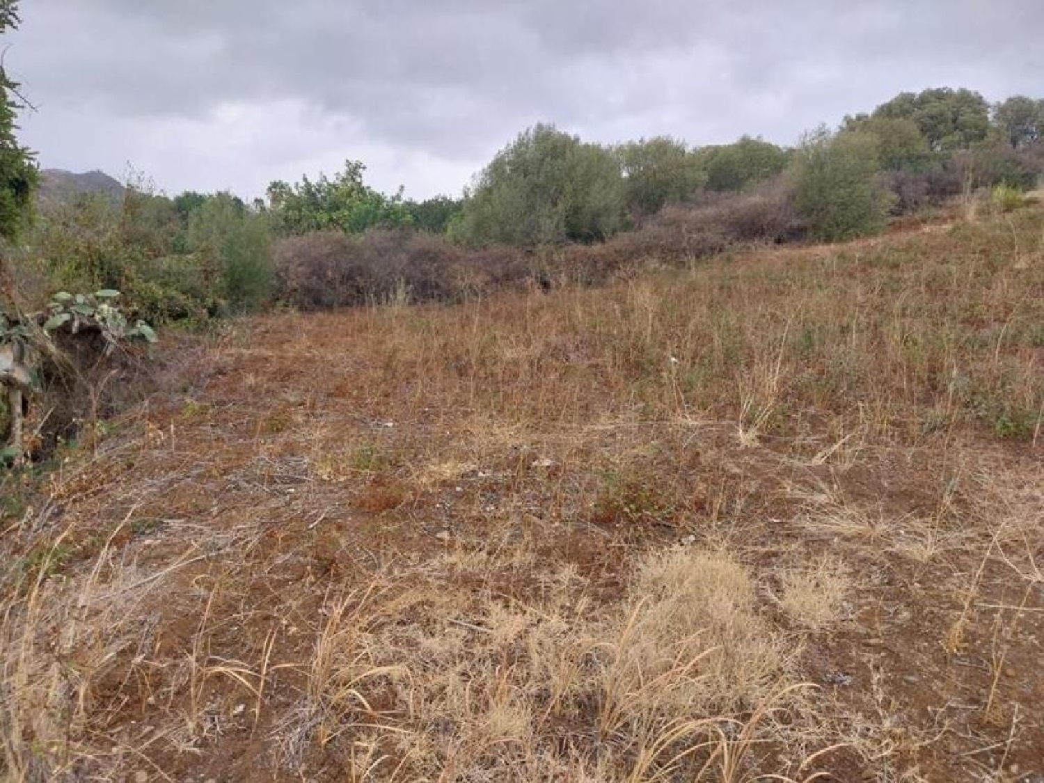  till salu tomt Guadalmansa Costa Del Sol Occidental 18