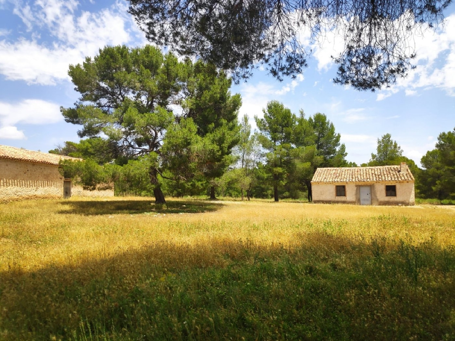  till salu tomt Férez Sierra Del Segura 1