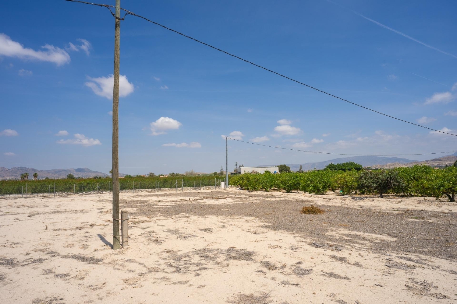 till salu tomt Finca Señorita Vega Media Del Segura 2