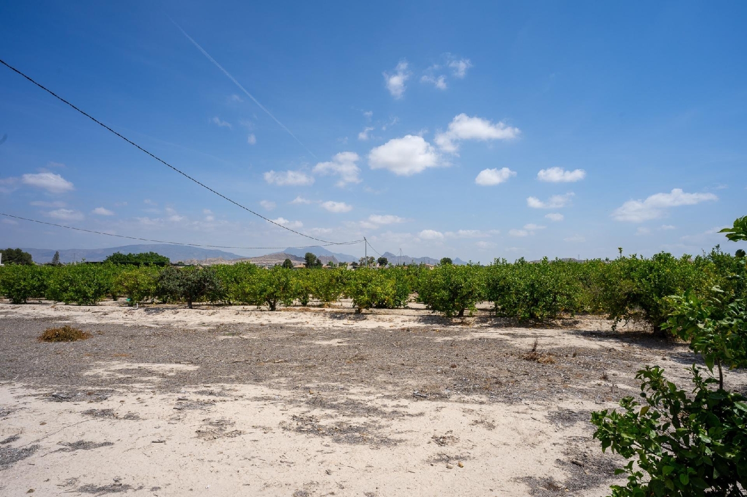 till salu tomt Finca Señorita Vega Media Del Segura 3