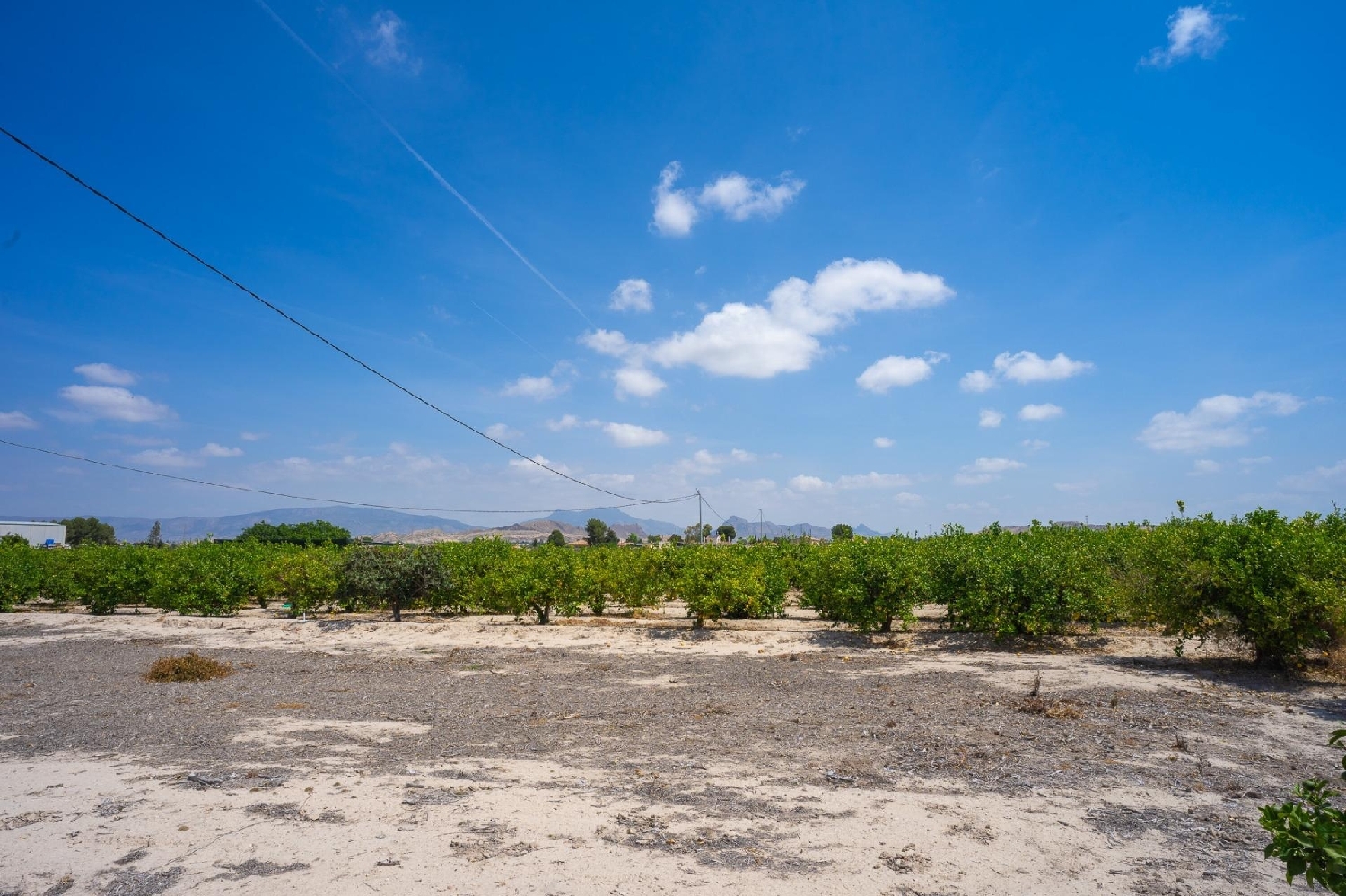  till salu tomt Finca Señorita Vega Media Del Segura 4