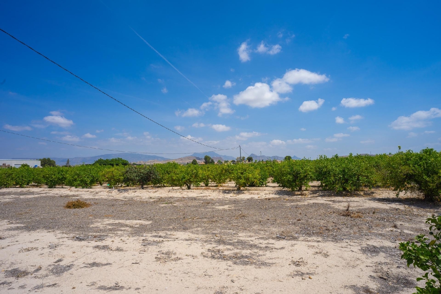  till salu tomt Finca Señorita Vega Media Del Segura 5