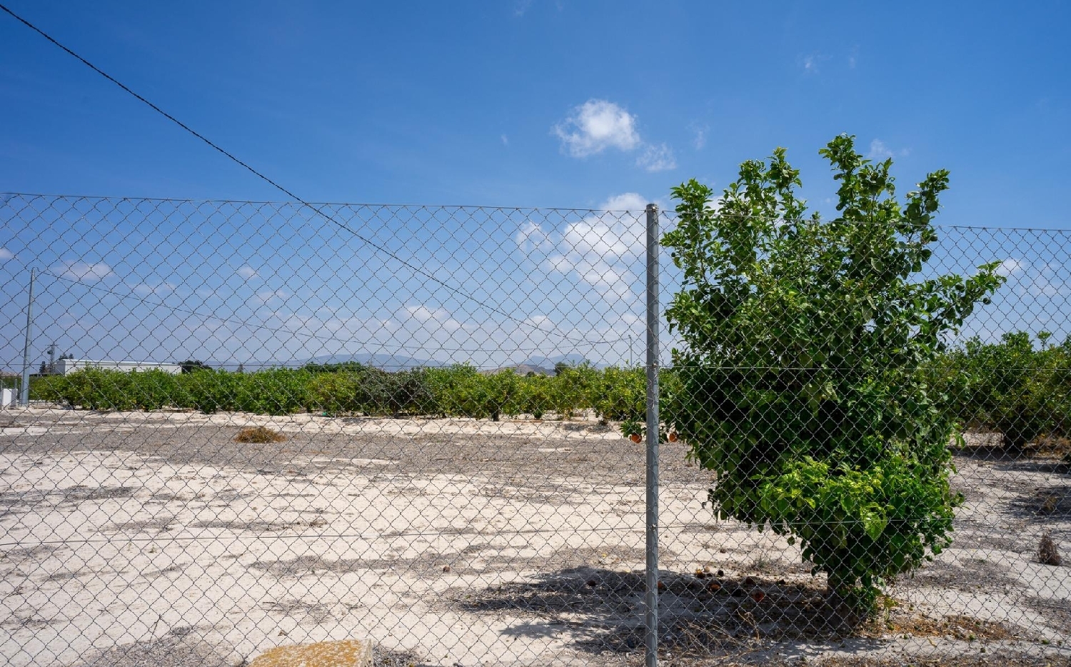  till salu tomt Finca Señorita Vega Media Del Segura 11