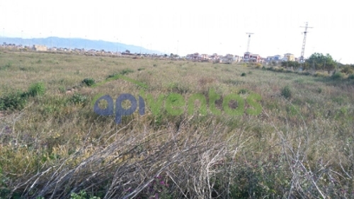 Folgars De La Selva Maresme tomt foto 6234396