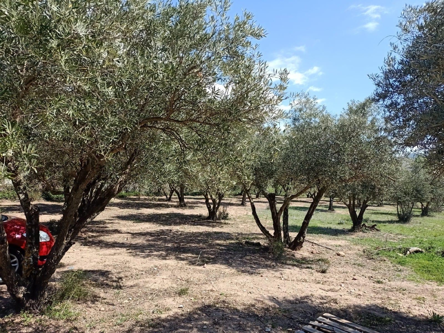  till salu tomt Fondón Alpujarra Almeriense 4