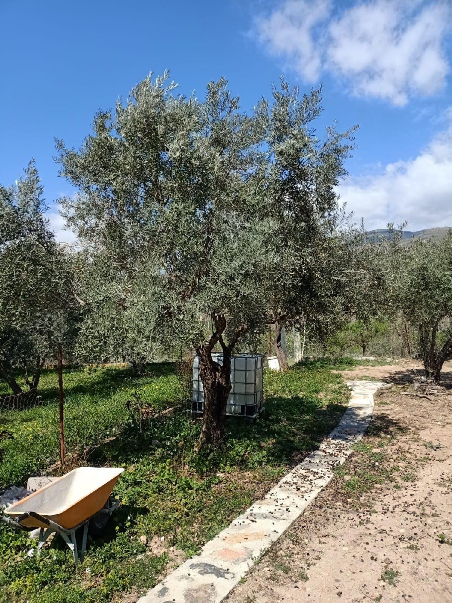 till salu tomt Fondón Alpujarra Almeriense 3