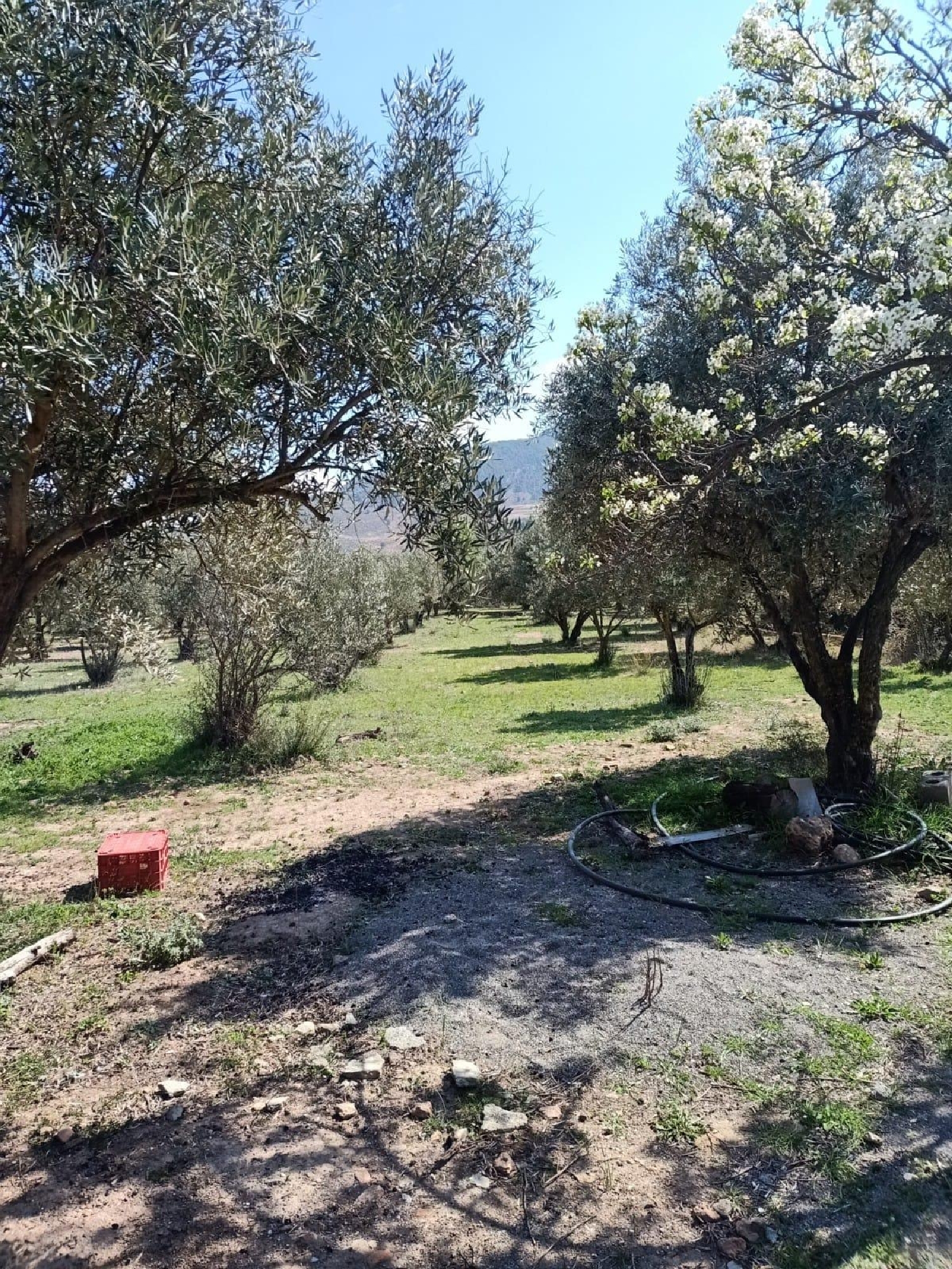  till salu tomt Fondón Alpujarra Almeriense 5