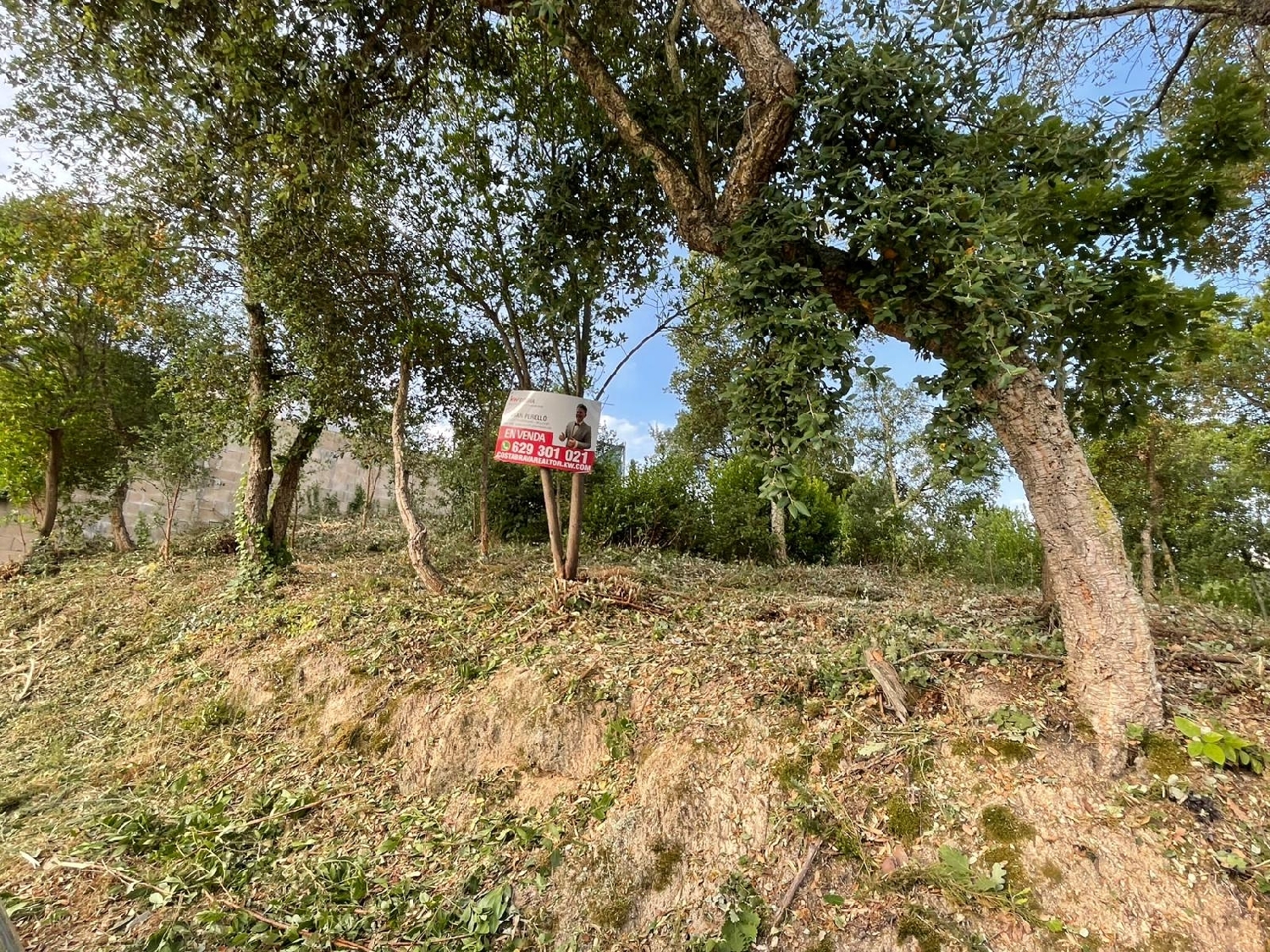  for sale plot La Fermina Selva 5