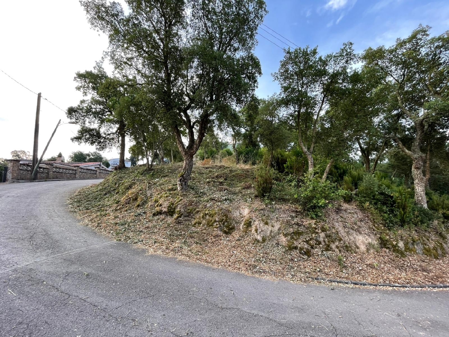  for sale plot La Fermina Selva 3