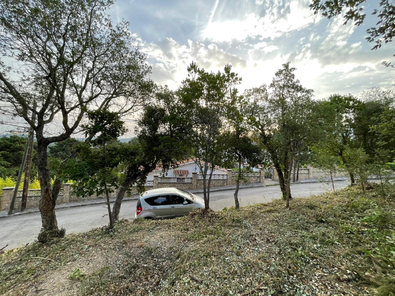  for sale plot La Fermina Selva 4