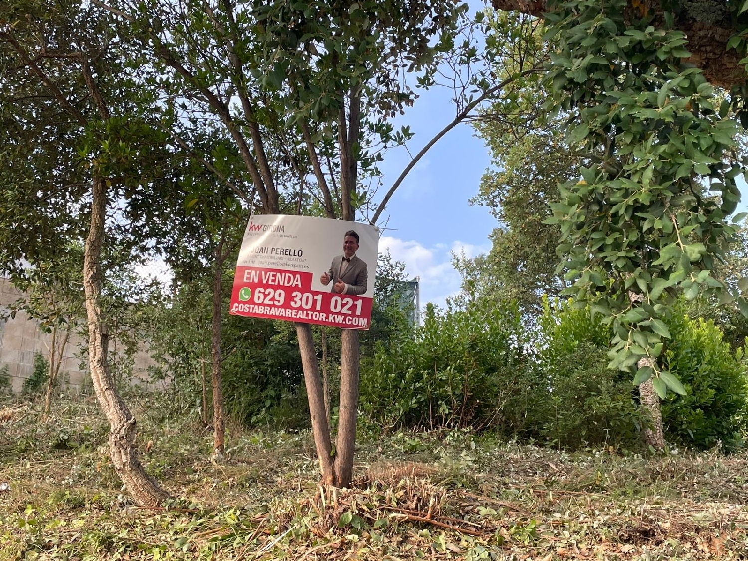  for sale plot La Fermina Selva 6
