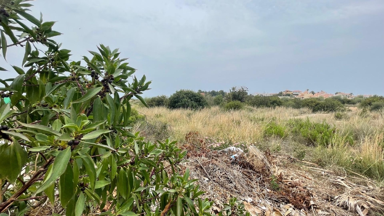  till salu tomt Font-Nova Baix Maestrat 6
