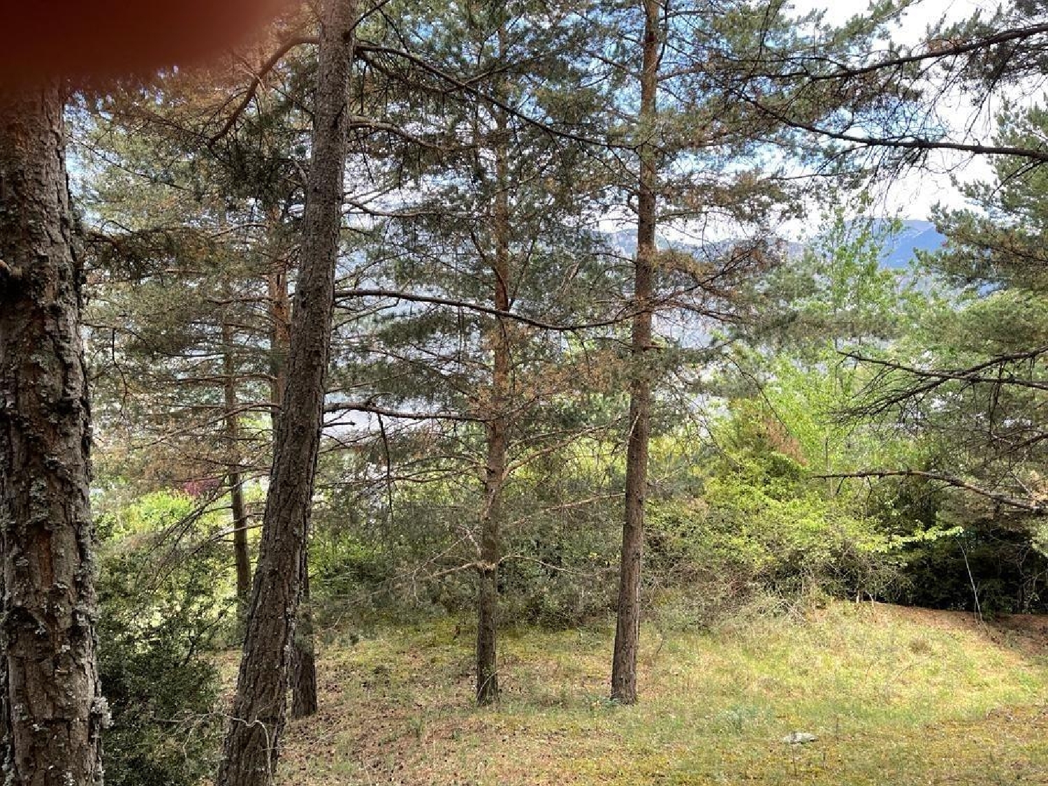  till salu tomt Fontaneda Sant Julià De Lòria 5