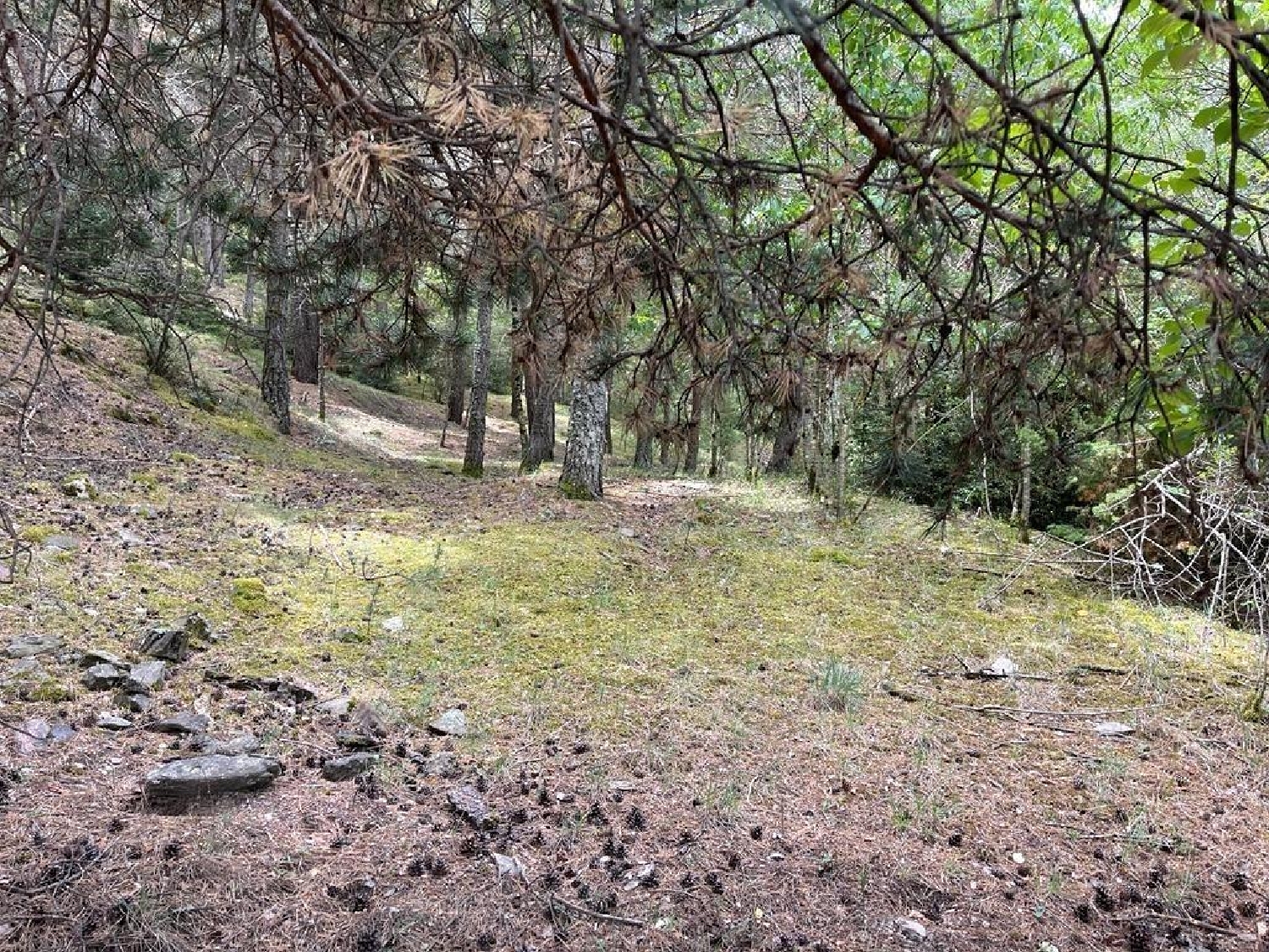  till salu tomt Fontaneda Sant Julià De Lòria 4