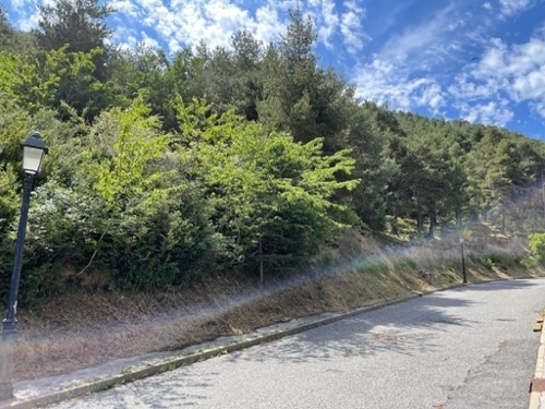 Fontaneda Sant Julià De Lòria tomt foto 6262160