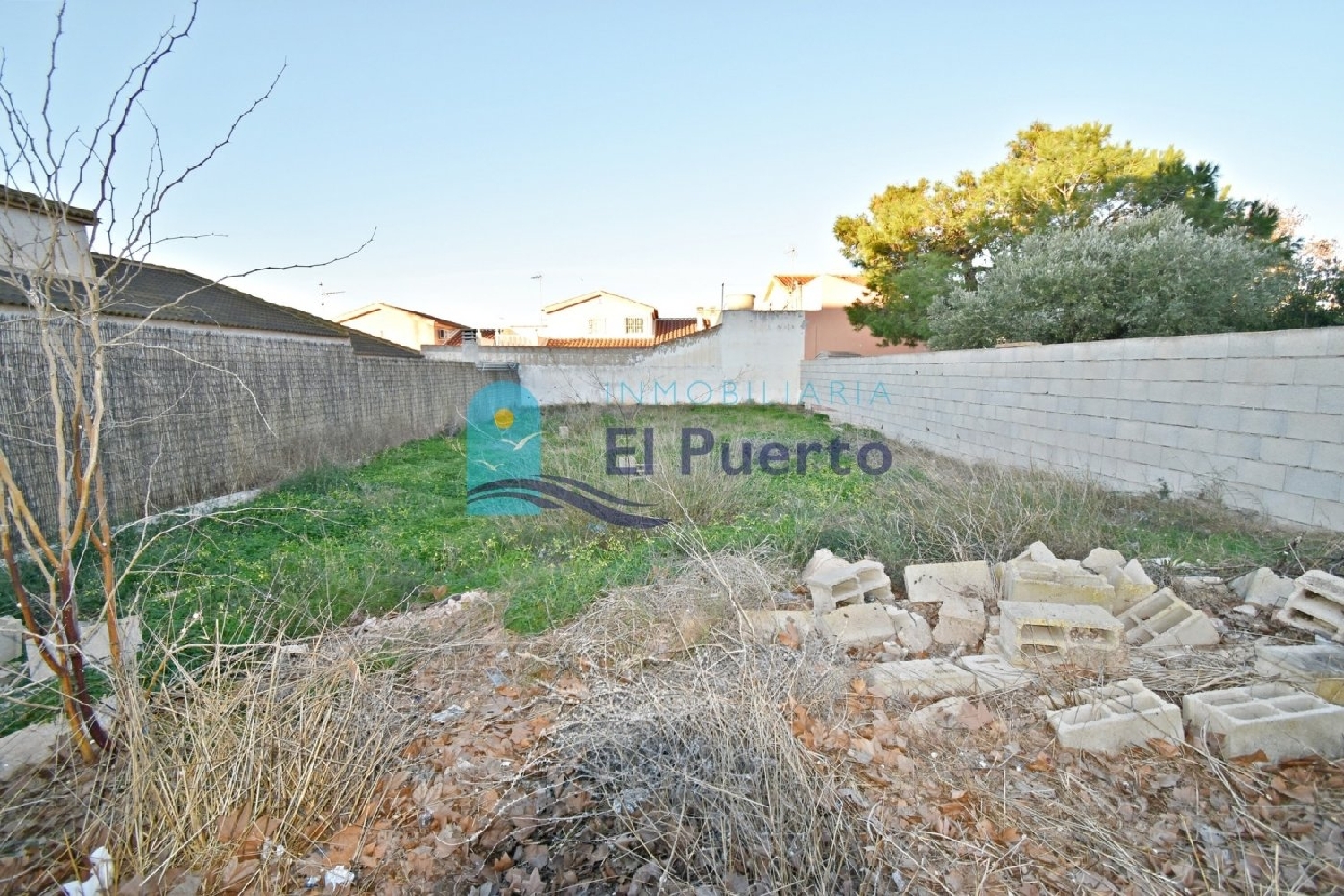  à vendre terrain Fuente Álamo Campo De Cartagena 3