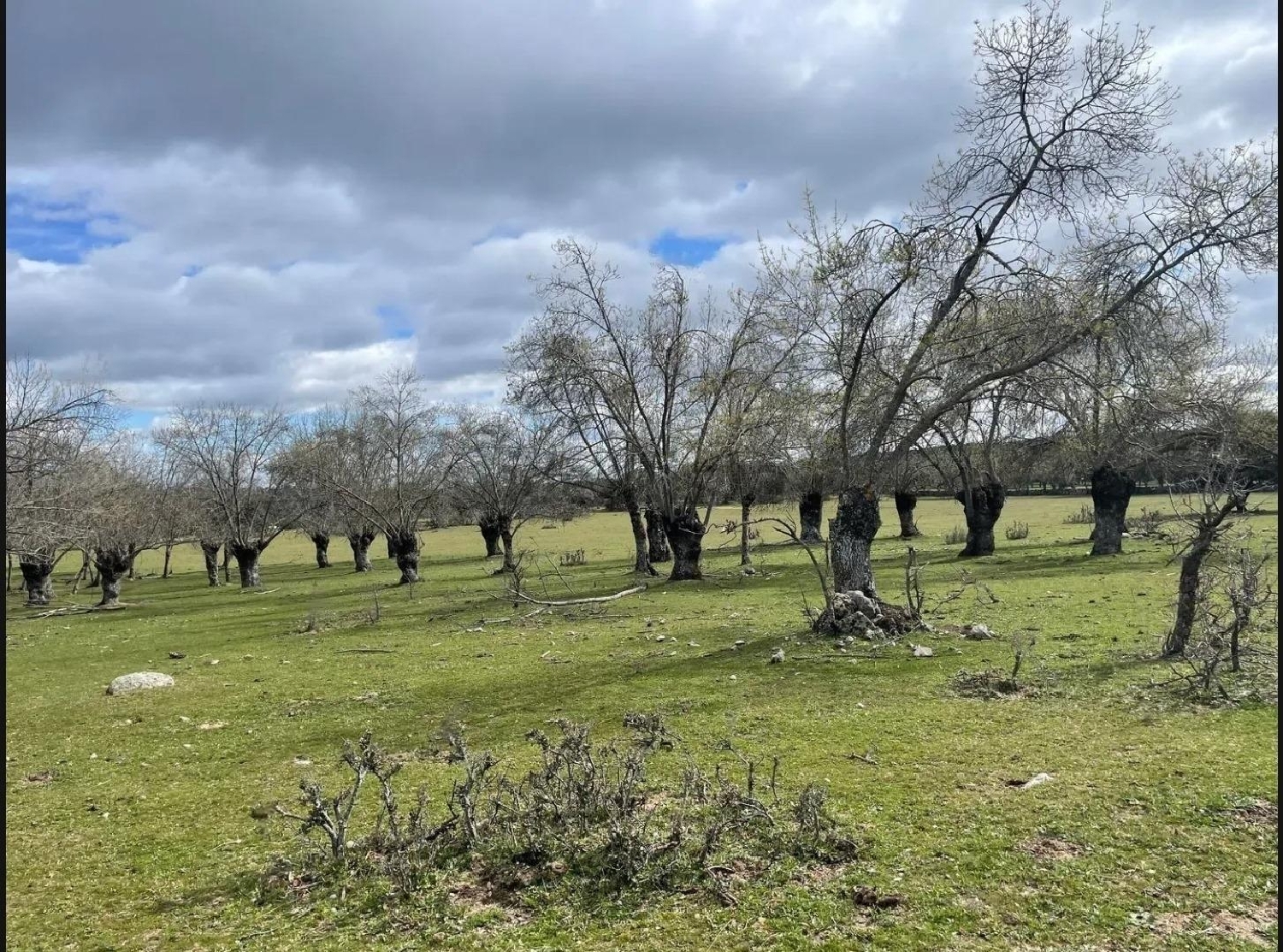  till salu tomt Fuente La Teja Cuenca Del Guadarrama 4