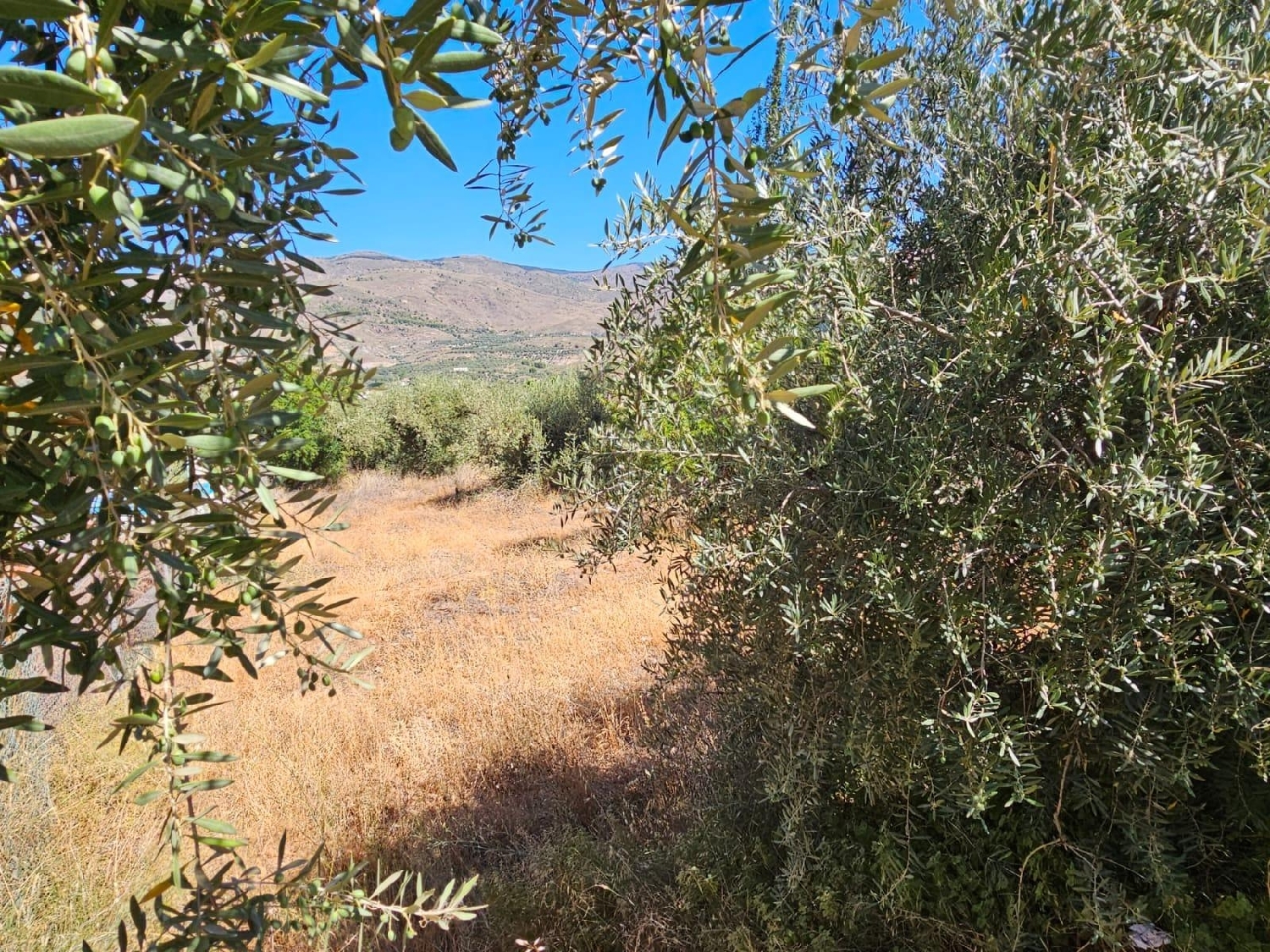  till salu tomt Fuente Victoria Alpujarra Almeriense 5