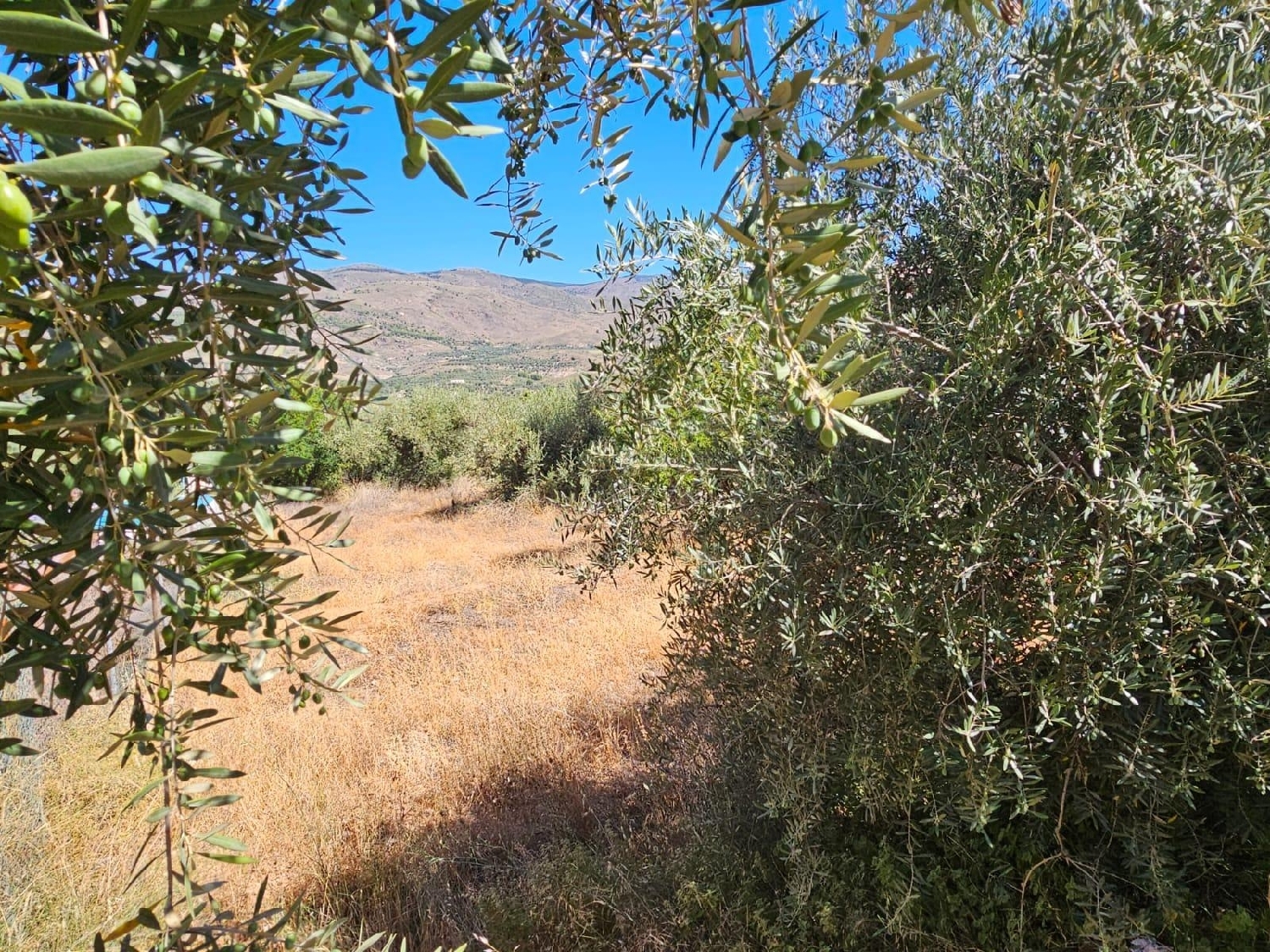  till salu tomt Fuente Victoria Alpujarra Almeriense 6