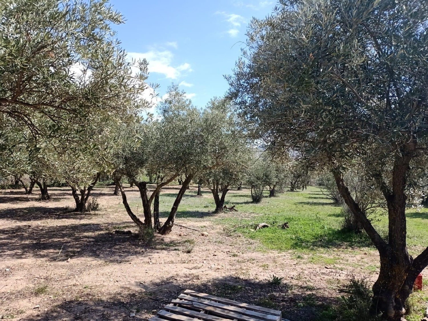 till salu tomt Fuente Victoria Alpujarra Almeriense 2