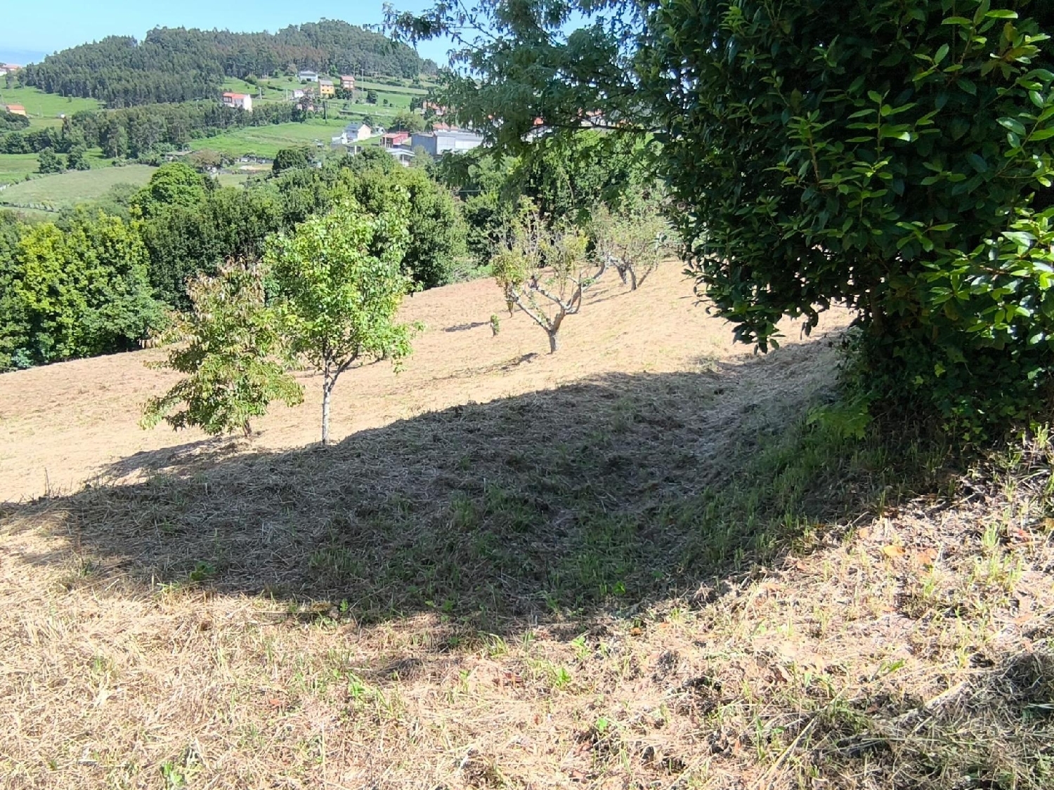  till salu tomt Pregin Coruña 7