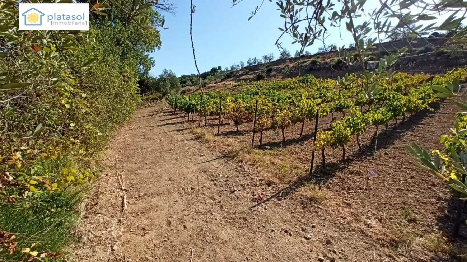  till salu tomt Gerena Sierra Norte 1