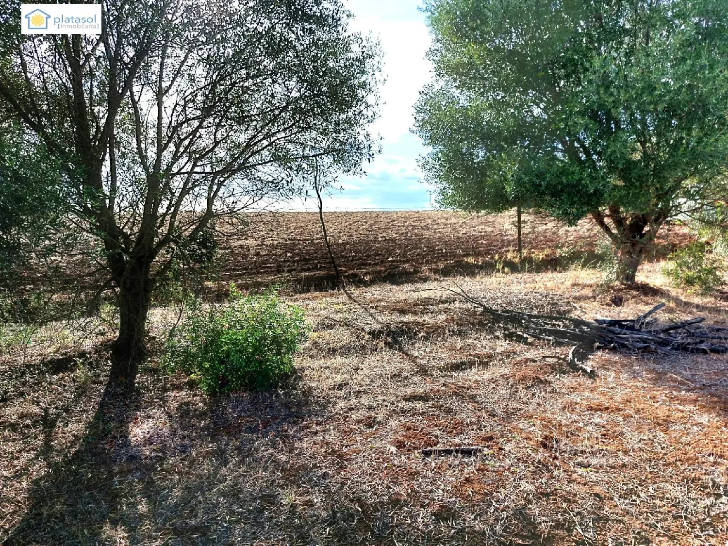  till salu tomt Gerena Sierra Norte 5