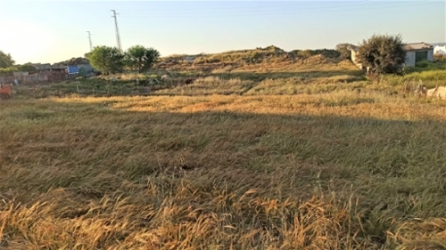 Gerena Sierra Norte tomt foto 6222192