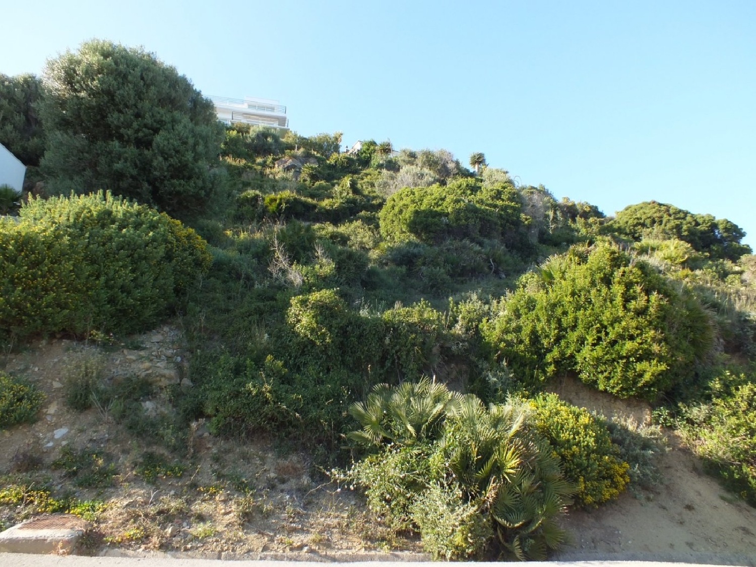  till salu tomt Getares Campo De Gibraltar 7