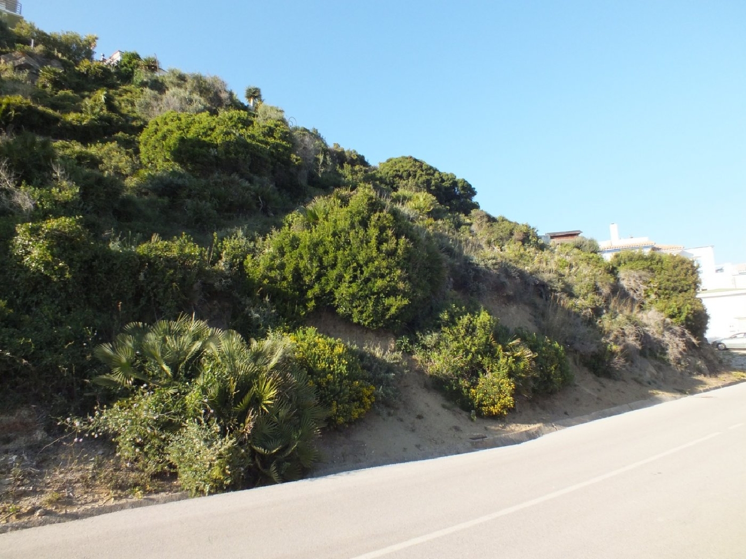  till salu tomt Getares Campo De Gibraltar 6