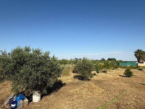 Gévora Del Caudillo Badajoz tomt foto 6227686
