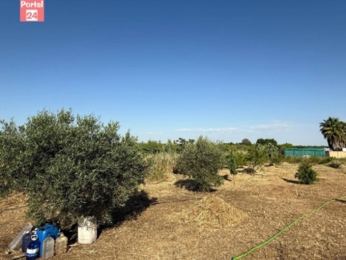 Gévora Del Caudillo Badajoz tomt foto 6229077